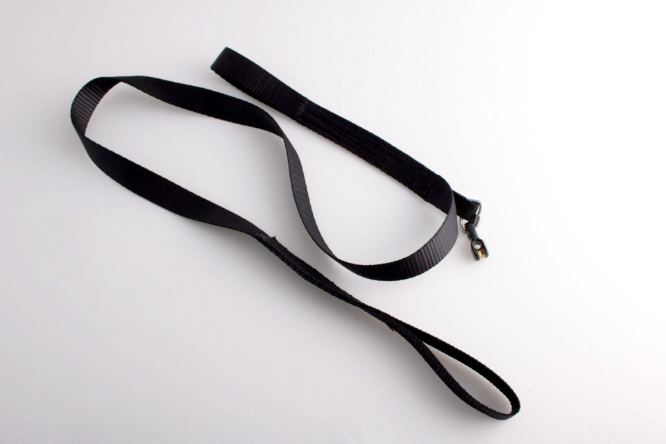 SANGLE_AVEC_BOUCLE_COUSUE_ET_MOUSQUETON_B SANGLE_AVEC_BOUCLE_COUSUE_ET_MOUSQUETON_B